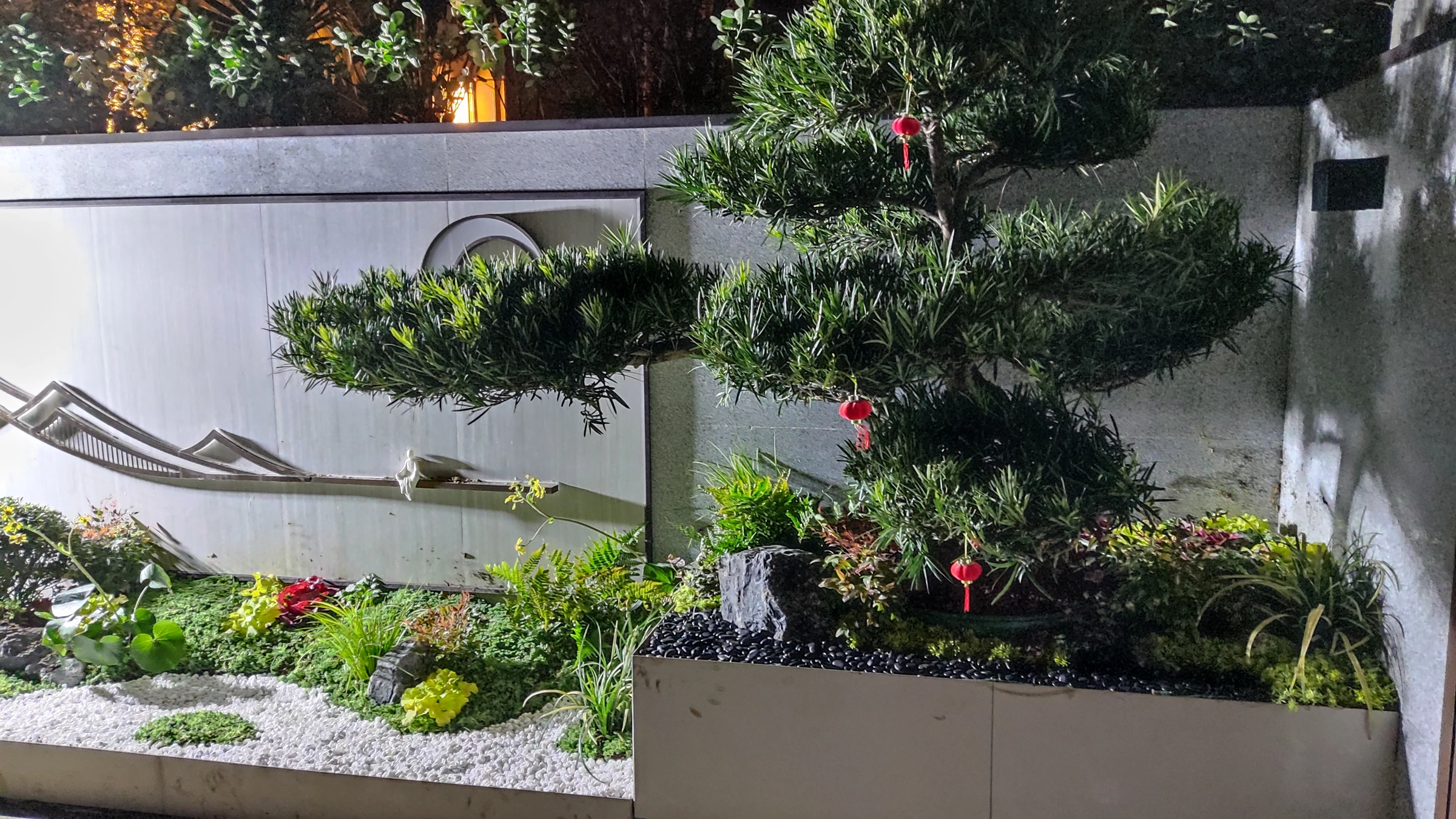 造型树局部实拍|树冠与景石、低矮植物的层次关系