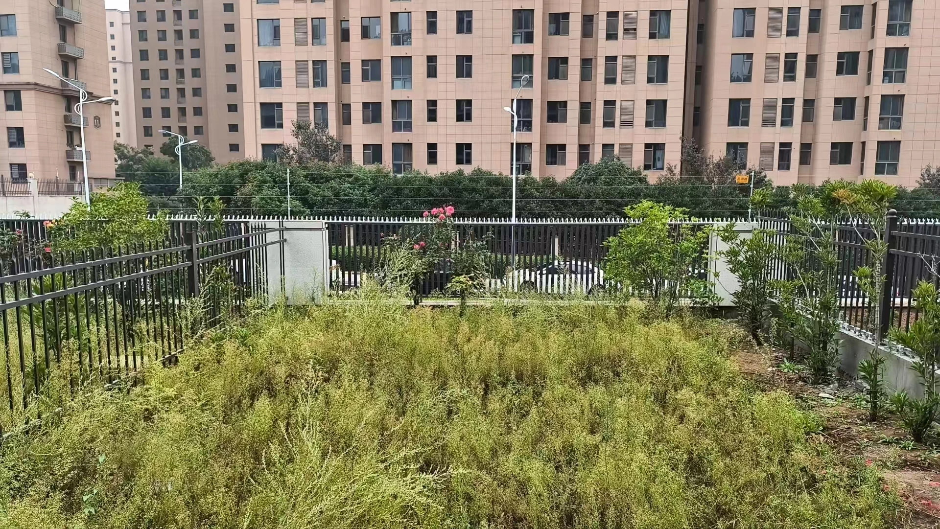 复尺现场:从住宅一侧观察庭院边界|设计前现场,非完工实景