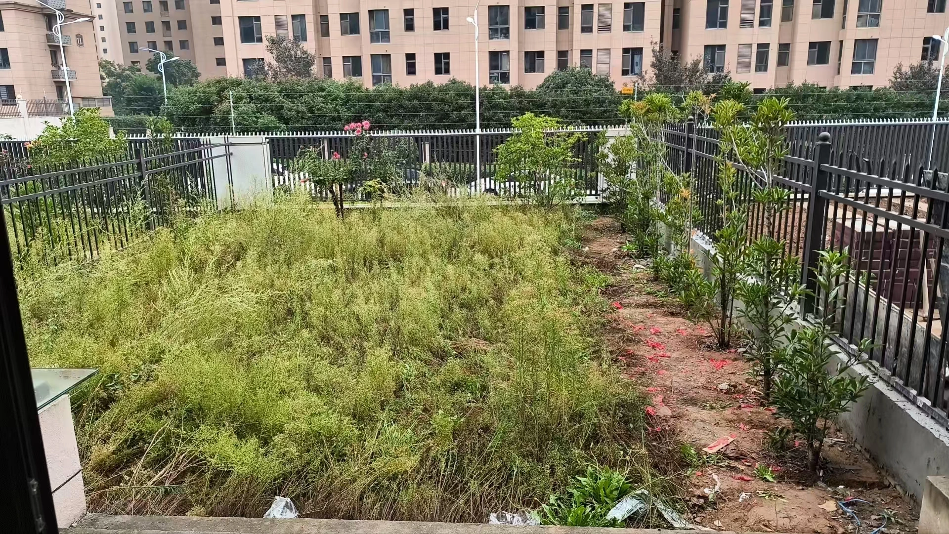 复尺现场:院内地面与沿边通行位置|设计前现场,非完工实景