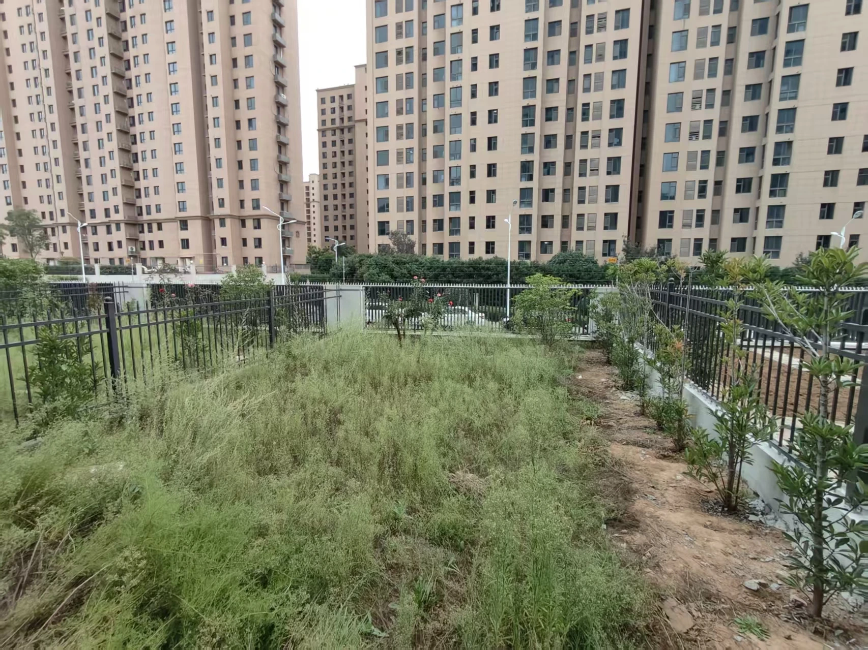 原场地:庭院范围、围栏与周边建筑|设计前现场,非完工实景